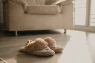 a pair of slippers on the floor of a living room