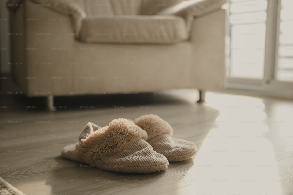 a pair of slippers on the floor of a living room