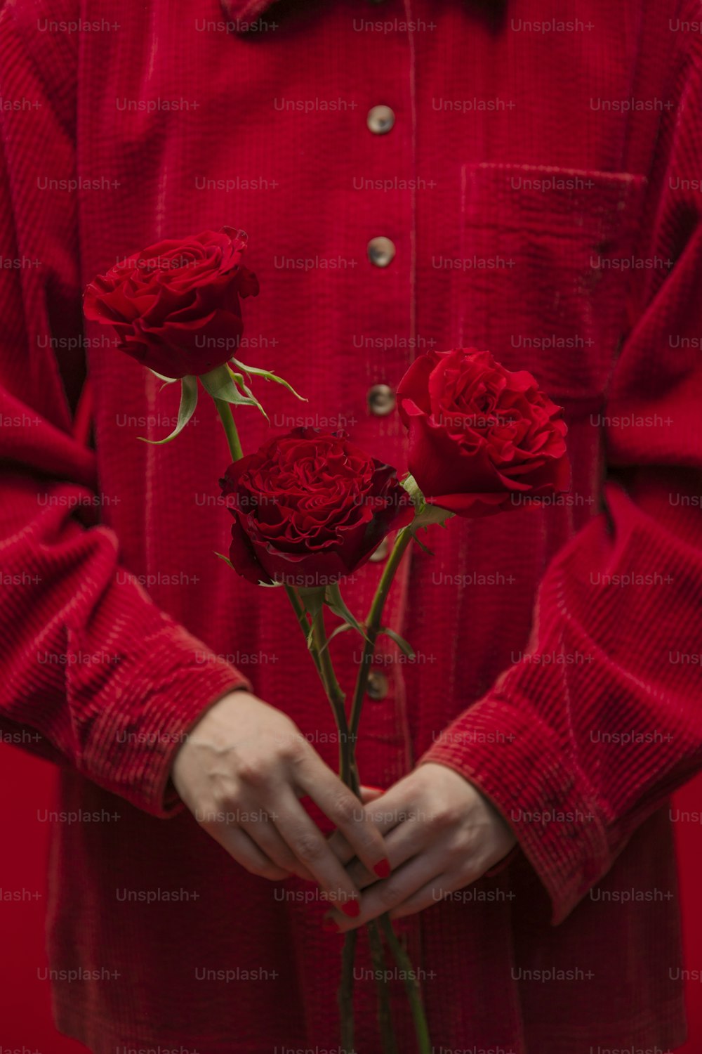 赤いスーツを着た男性が3本のバラを手に