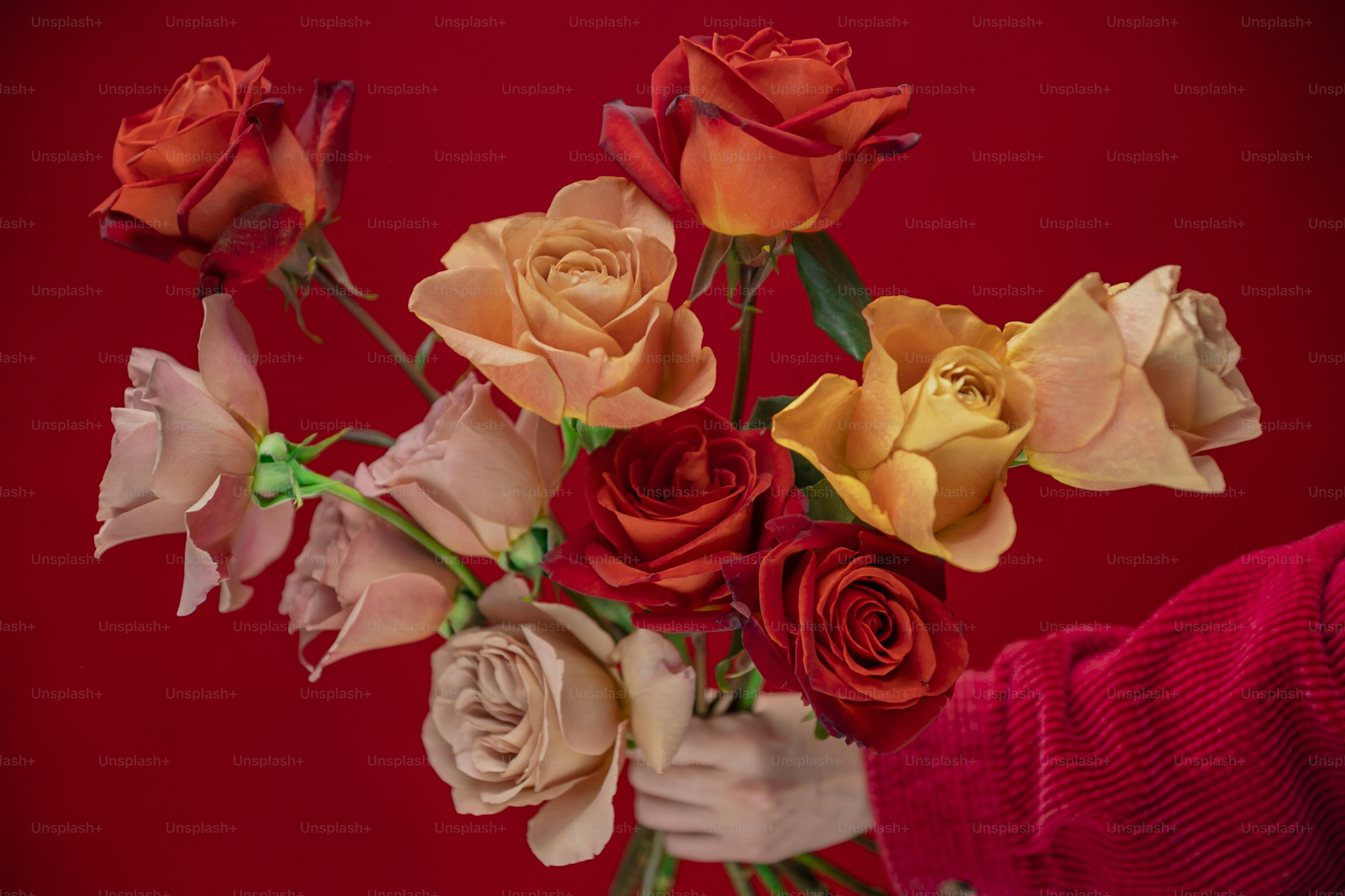 A woman holding a bouquet of roses in her hands photo – Flower Image on ...
