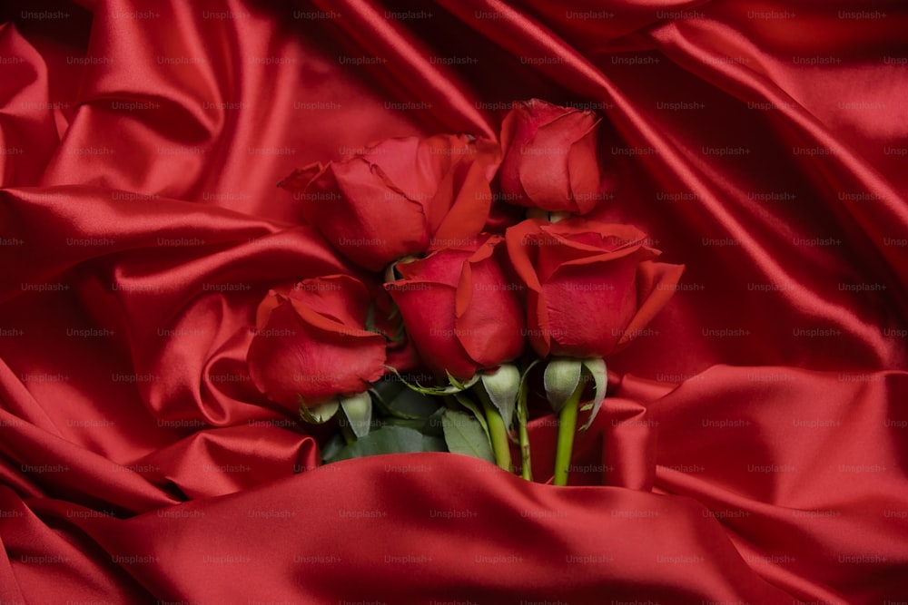 a bunch of red roses laying on a red cloth