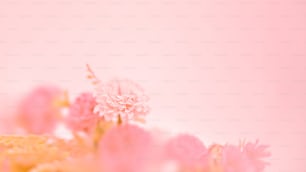 a close up of a bunch of pink flowers