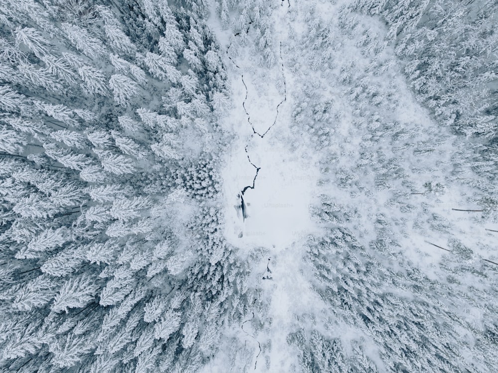 an aerial view of a snow covered forest