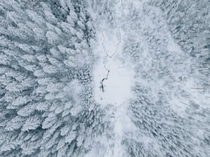 Una veduta aerea di una foresta innevata