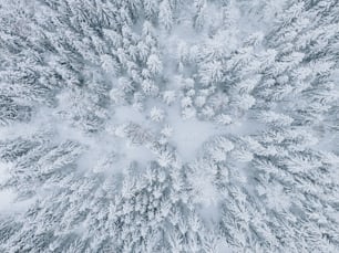 an aerial view of a snow covered forest