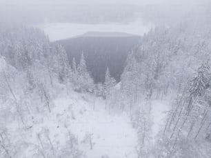 a snow covered forest with a lake in the distance