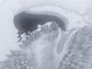 an aerial view of snow covered trees and a lake