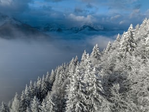 a mountain covered in snow and surrounded by trees