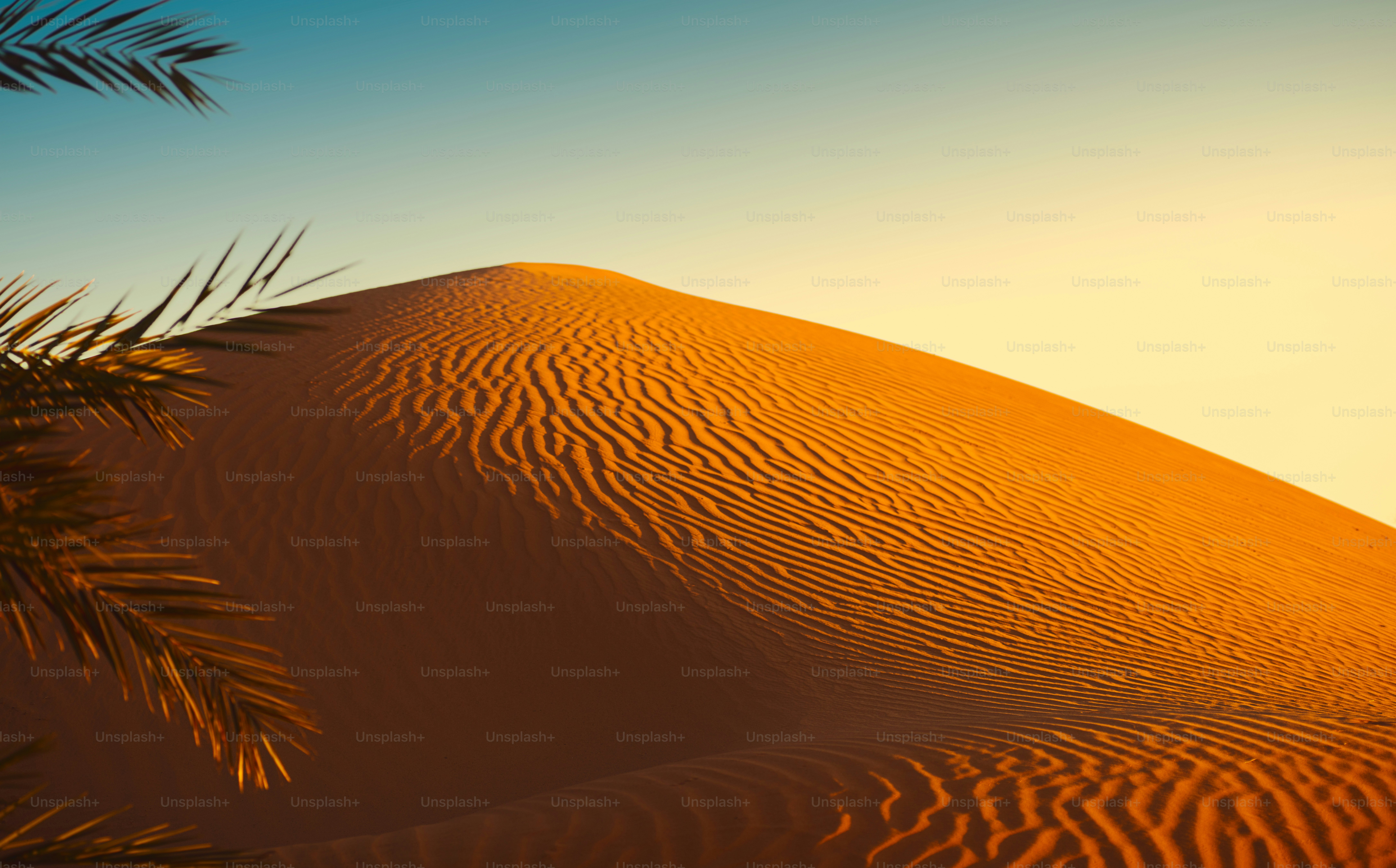 the sun is setting over a sand dune