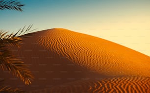 Die Sonne geht über einer Sanddüne unter