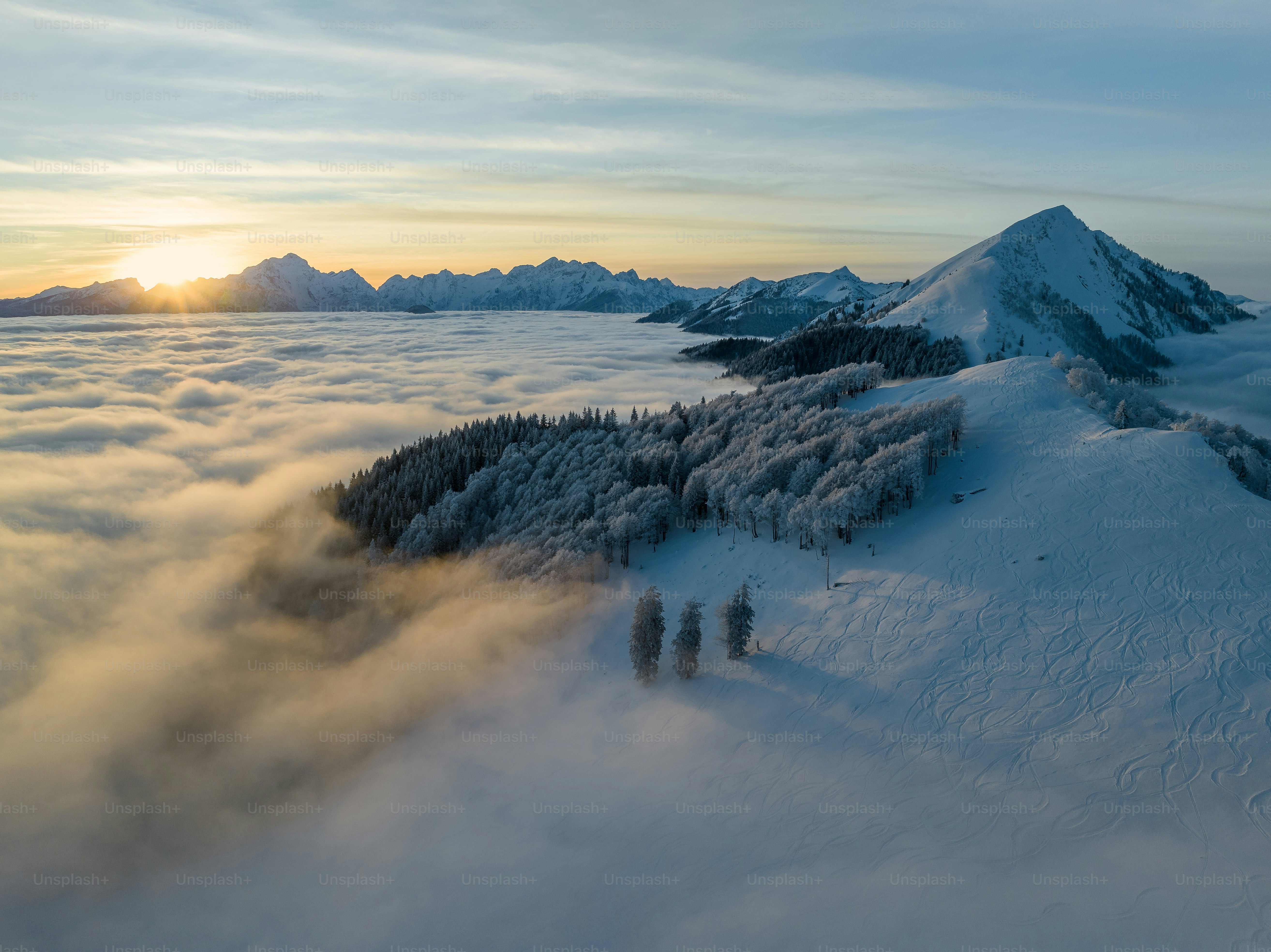 a mountain covered in snow next to a forest