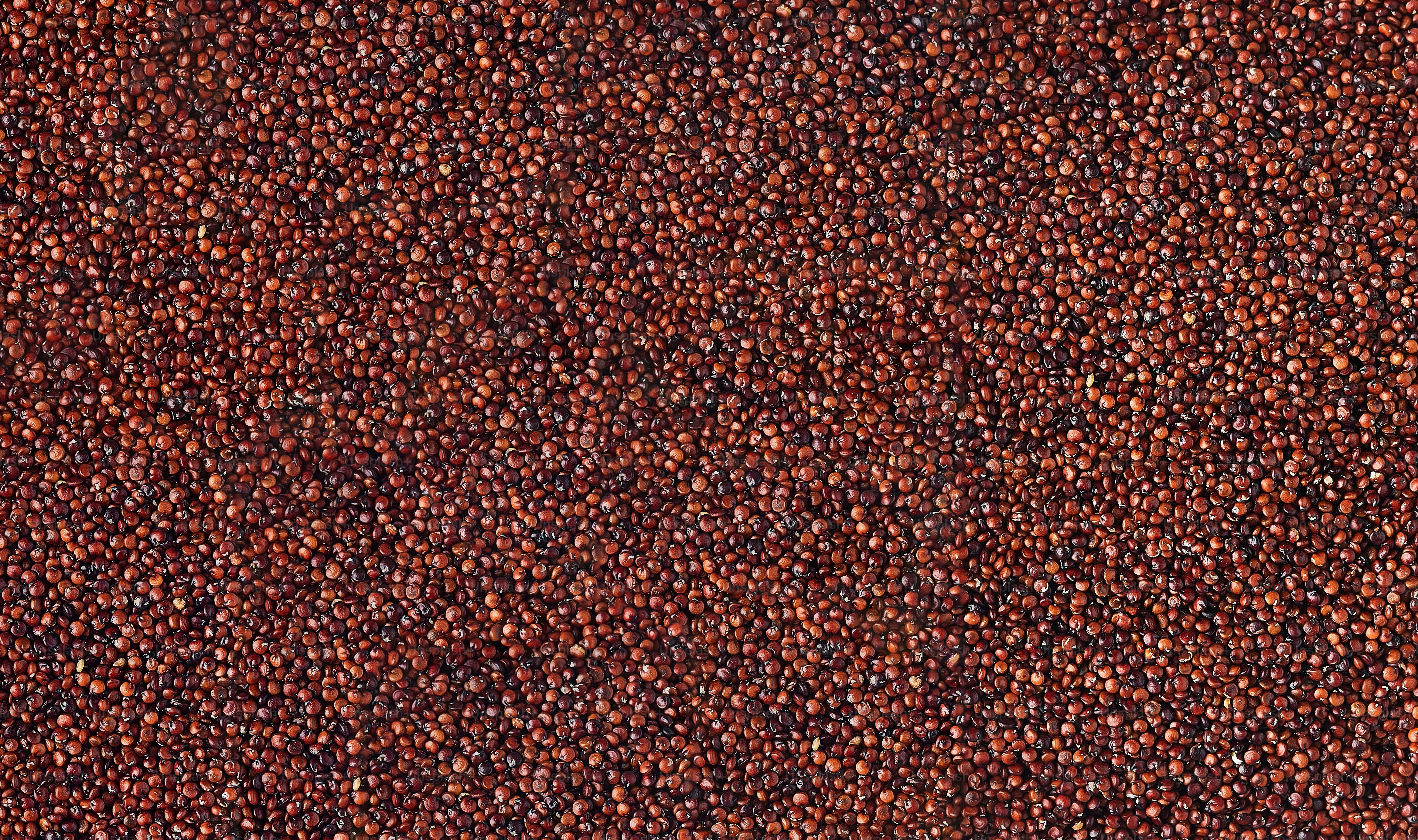 Nahaufnahme eines roten Teppichs