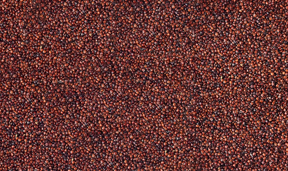 a close up view of a red carpet