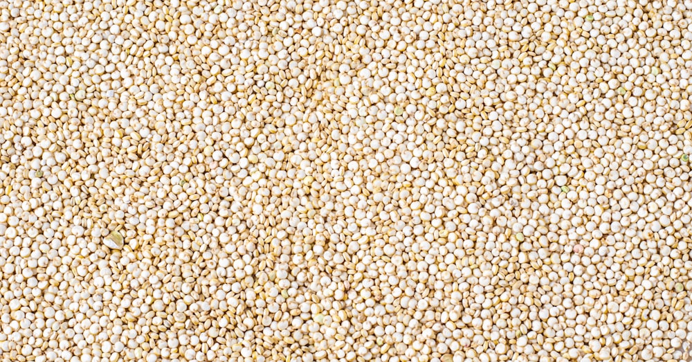 a close up of a bunch of white beans