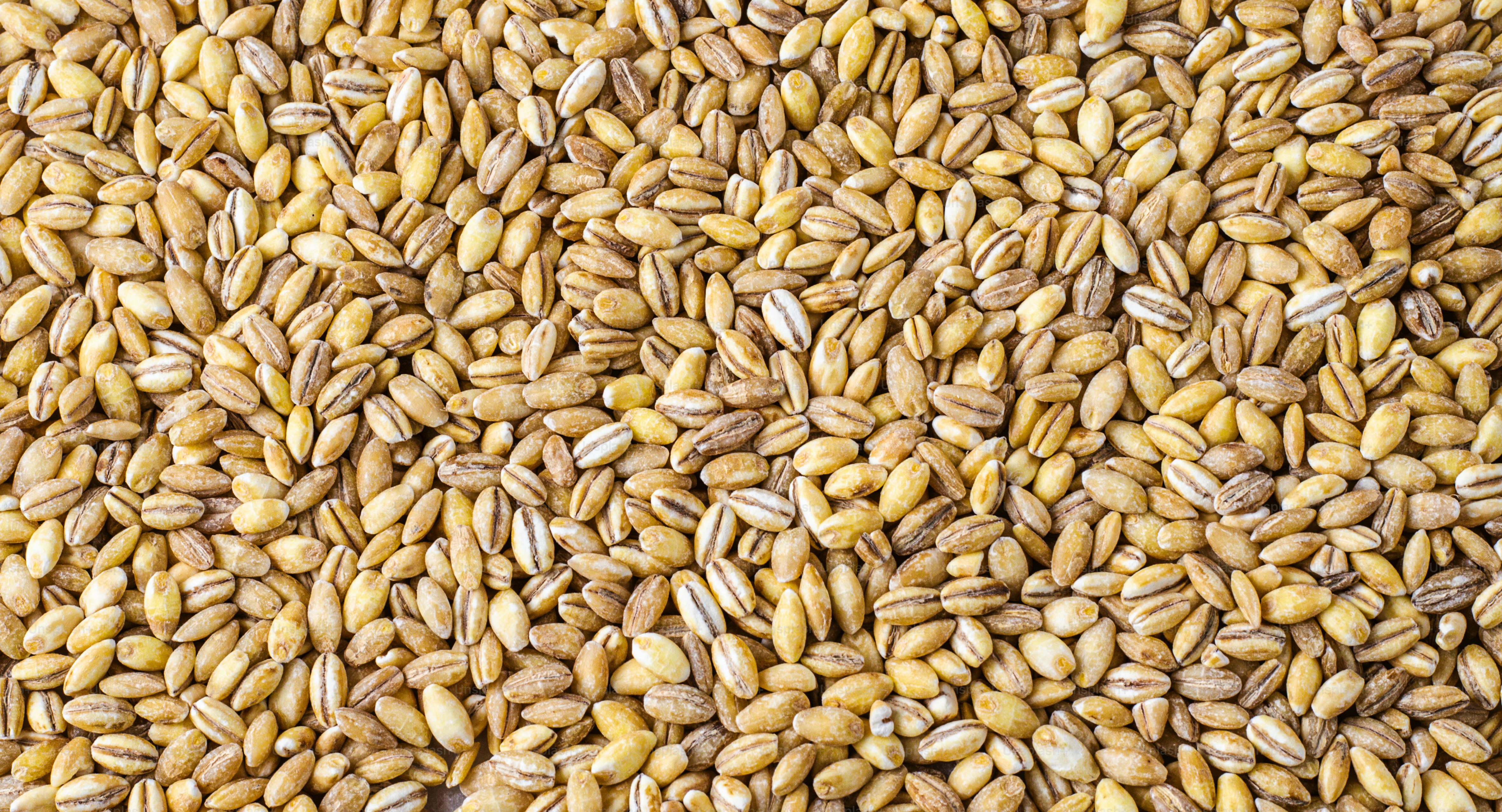 Ціна на ячмінь