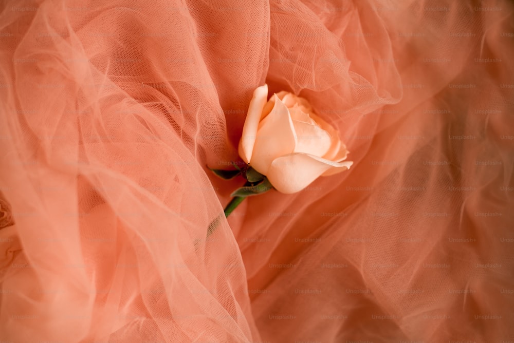 a single rose sitting on top of a pink tulle