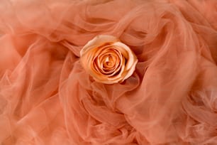 una rosa que está sentada sobre una tela