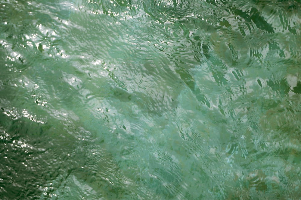 Un primer plano de una superficie de agua verde