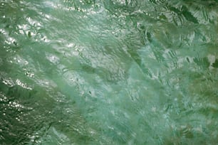 a close up of a green water surface