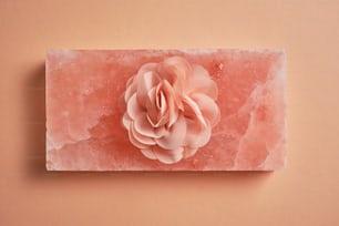 uma flor rosa é colocada em um pedaço de gelo