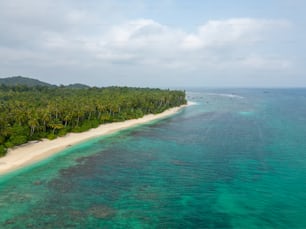 Una veduta aerea di un'isola tropicale con palme