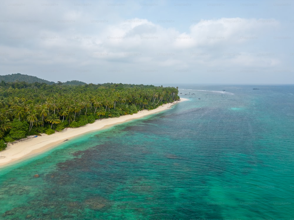 Luftaufnahme einer tropischen Insel mit Palmen