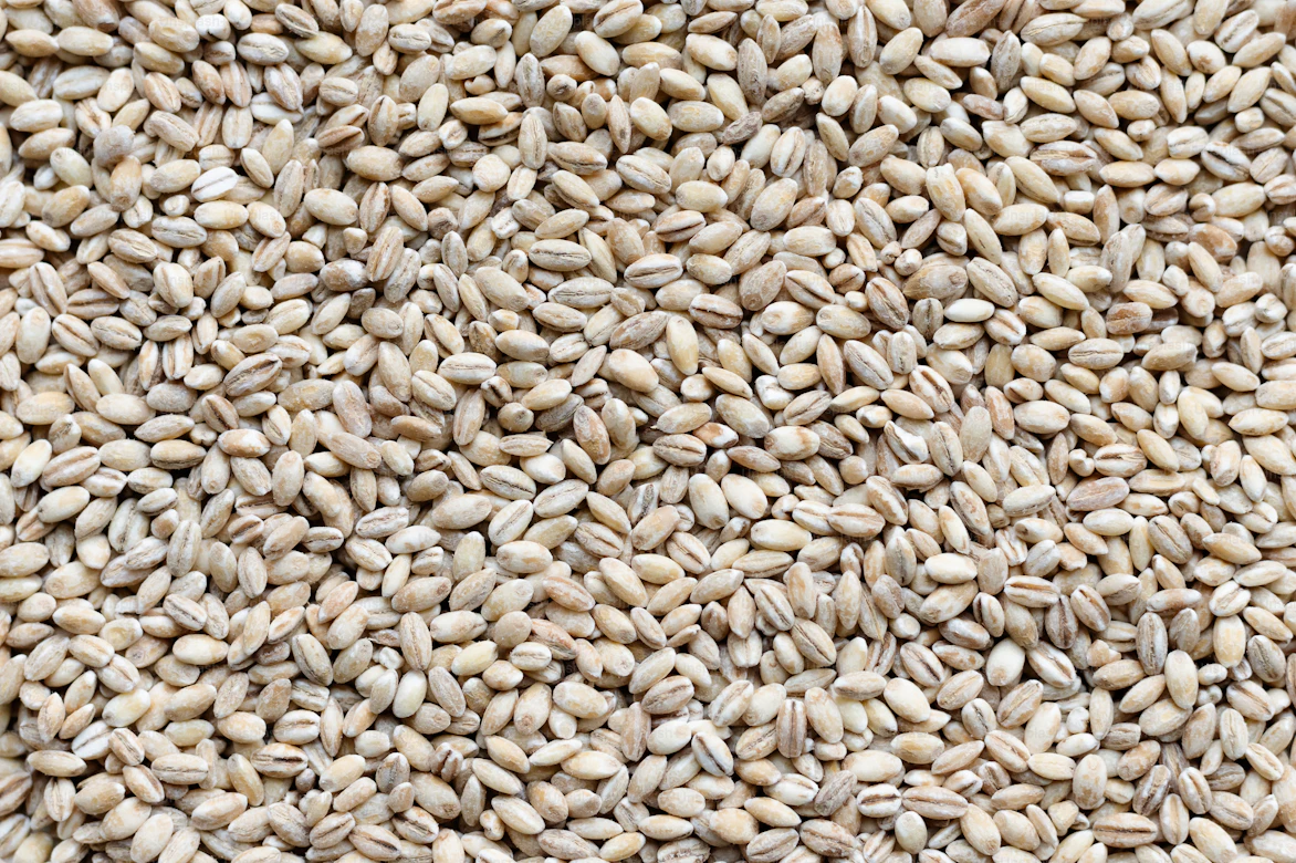 Barley flour