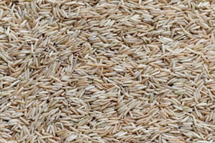 a close up of a pile of rice