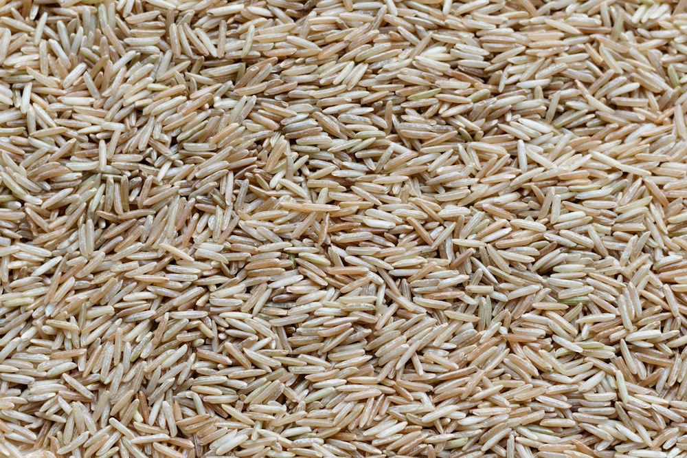 a close up of a pile of rice