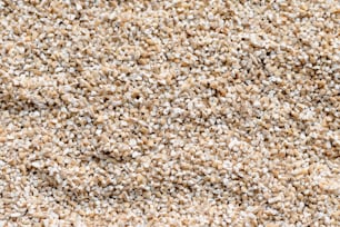 a close up view of a carpet texture
