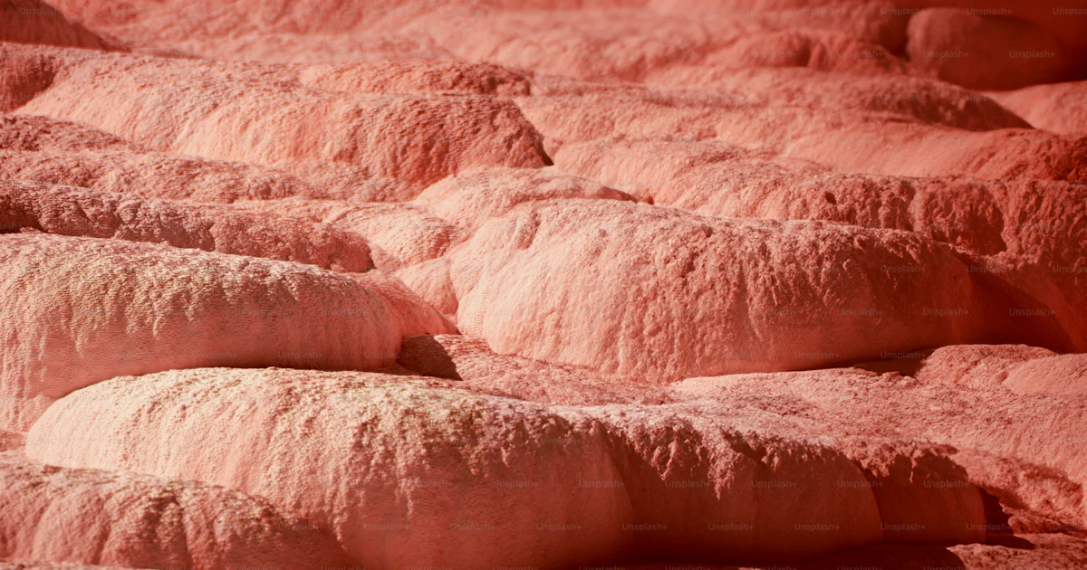 A group of rocks that are pink in color photo β Peach fuzz Image on ...