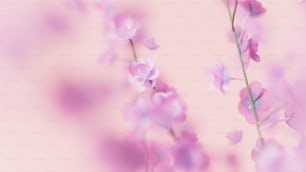 a blurry photo of pink flowers on a pink background