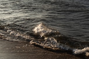 uma pessoa em pé em uma praia ao lado de um corpo de água