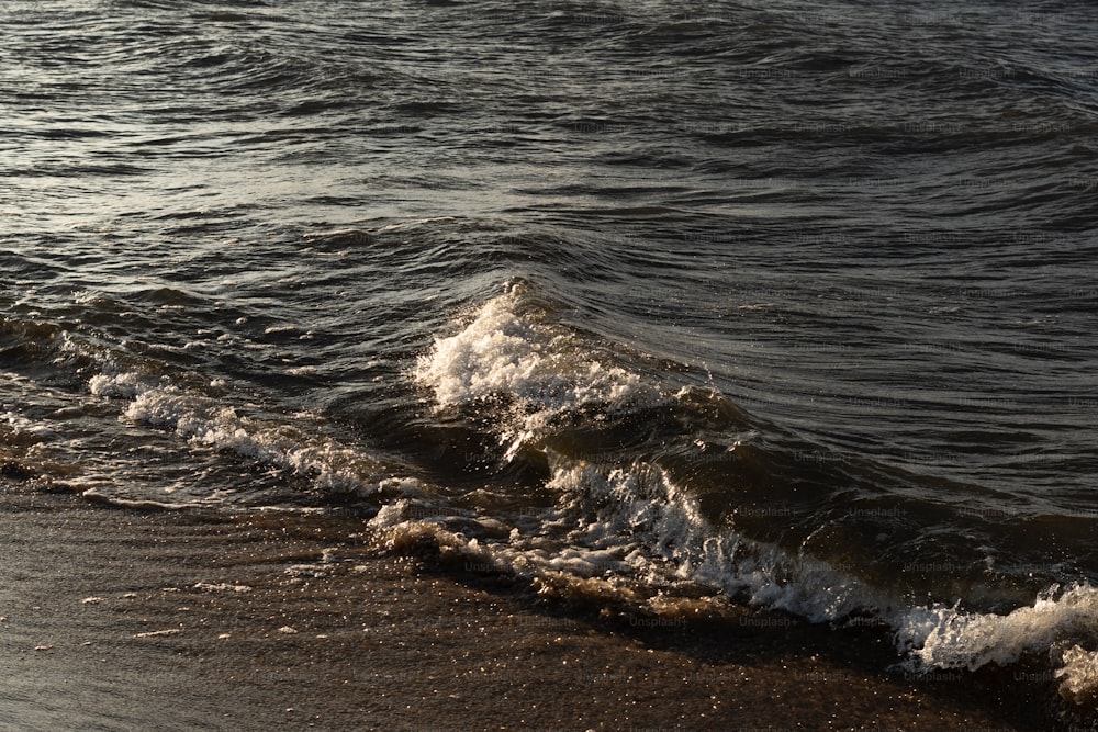 eine Person, die an einem Strand neben einem Gewässer steht