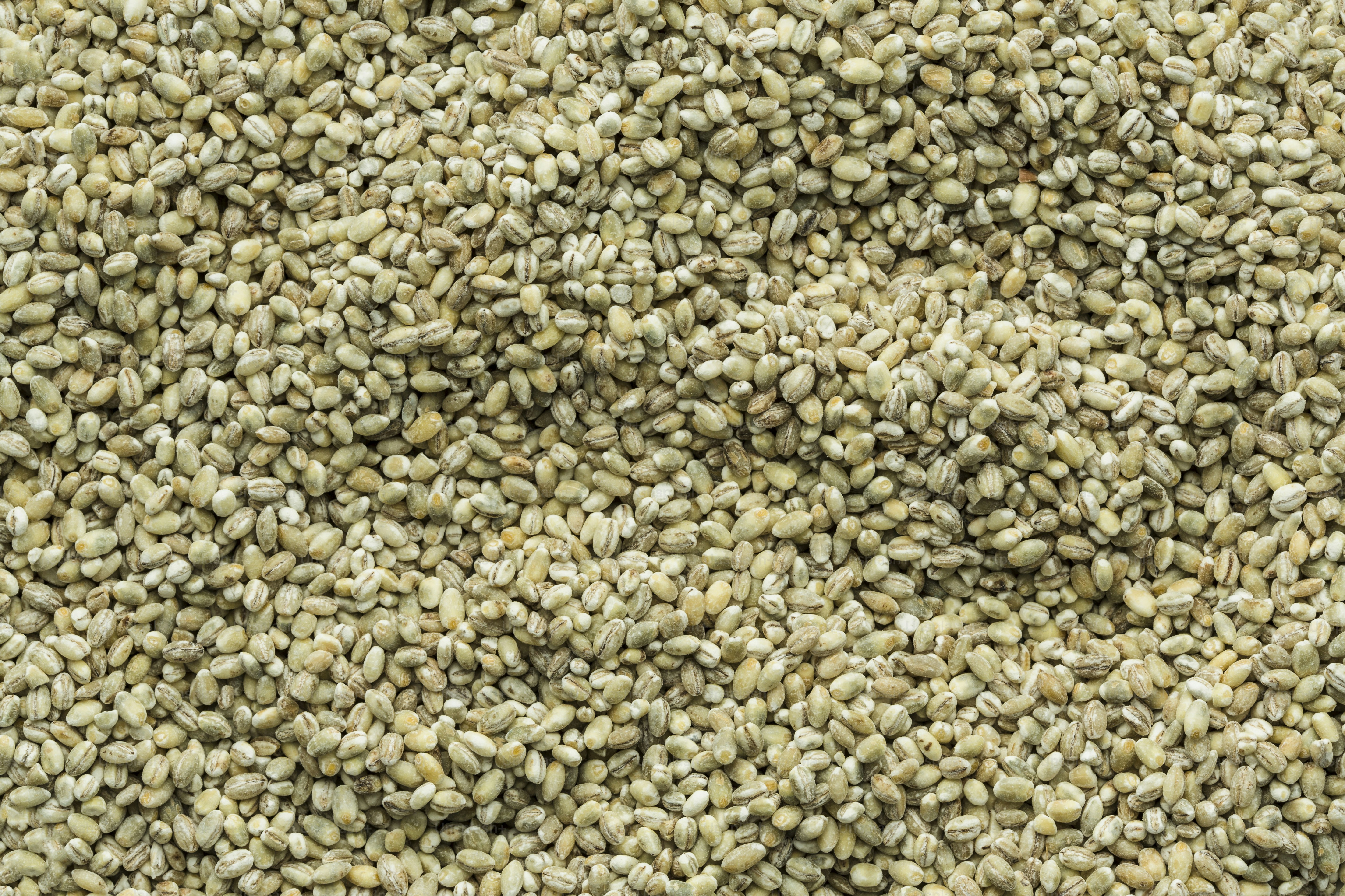 a close up of a bunch of seeds