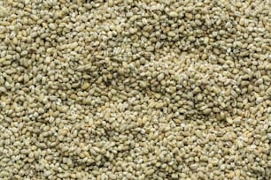 um close up de um monte de sementes
