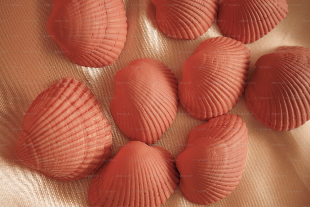 a close up of a bunch of small shells