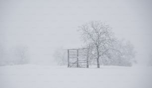 ein schneebedecktes Feld mit einem Zaun und Bäumen