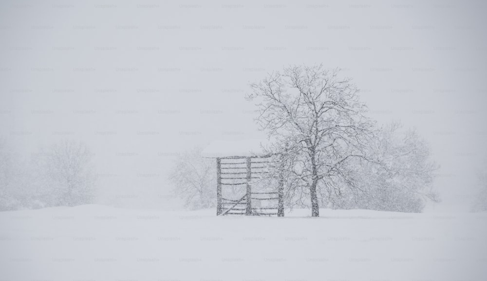 a snow covered field with a fence and trees