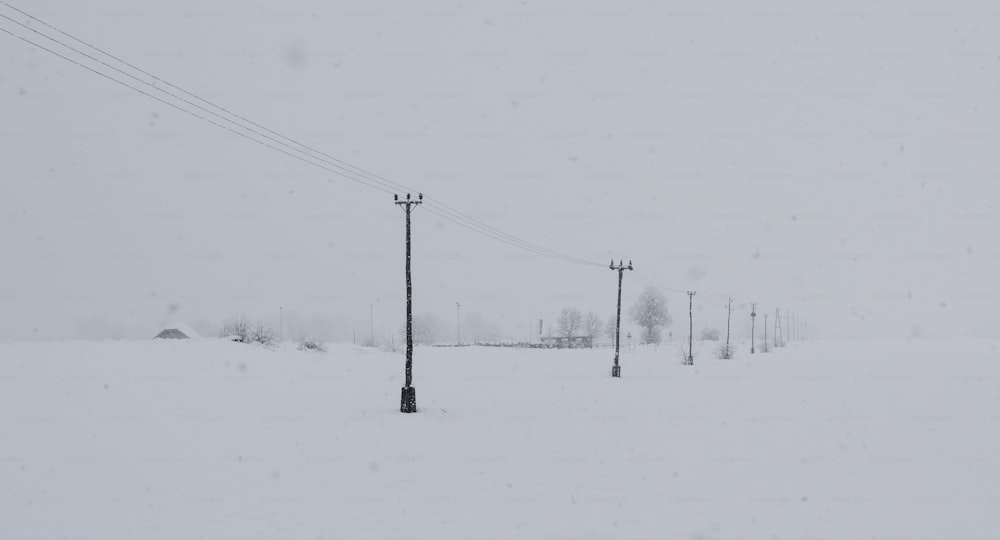 um campo coberto de neve com linhas de energia e postes telefônicos