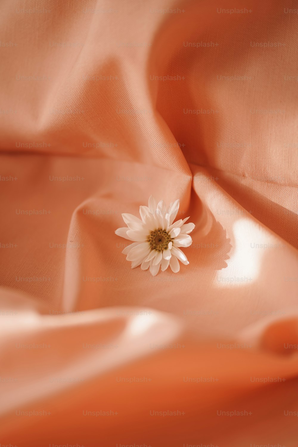 uma flor branca sentada em cima de um pano rosa