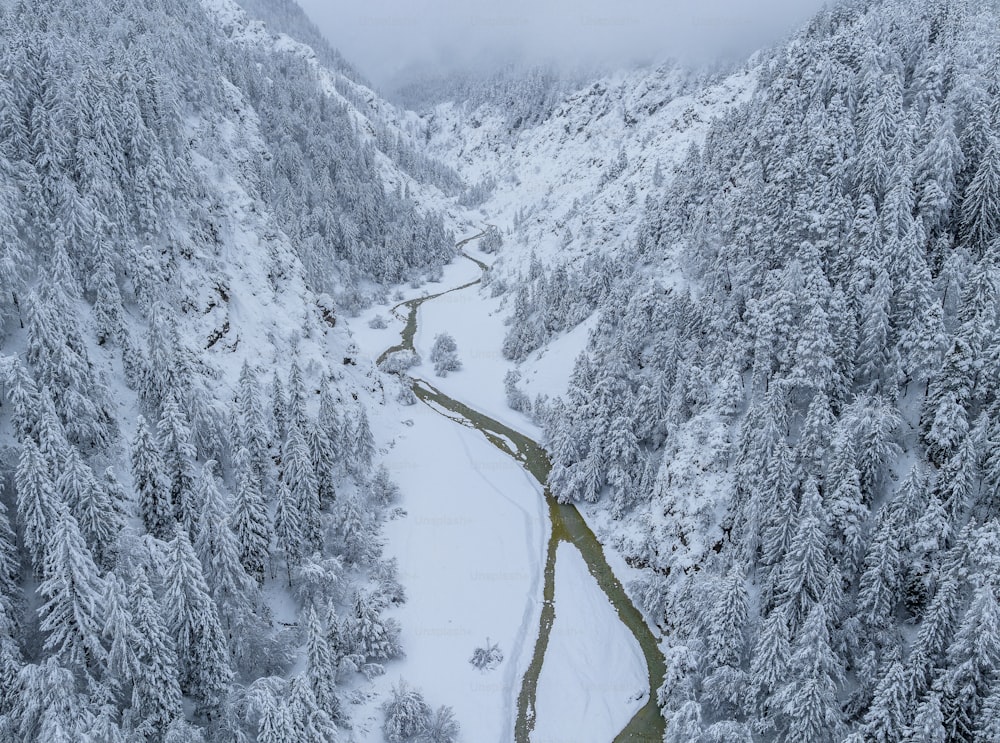 ein Fluss, der durch einen verschneiten Wald fließt