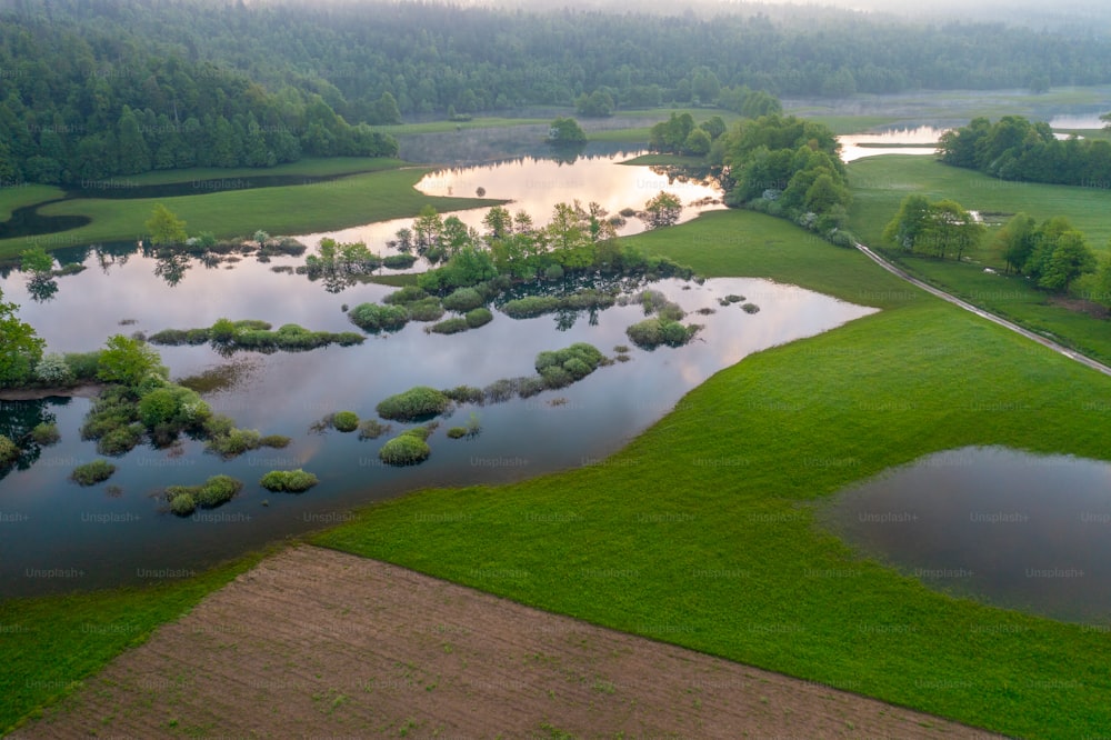 a large body of water surrounded by a lush green field