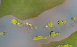 an aerial view of a lake surrounded by trees