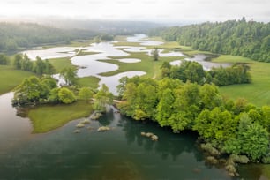 a large body of water surrounded by lush green trees