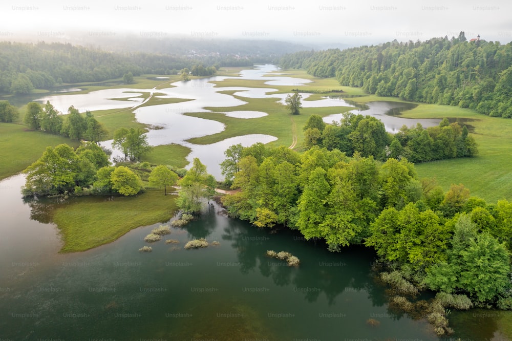 a large body of water surrounded by lush green trees