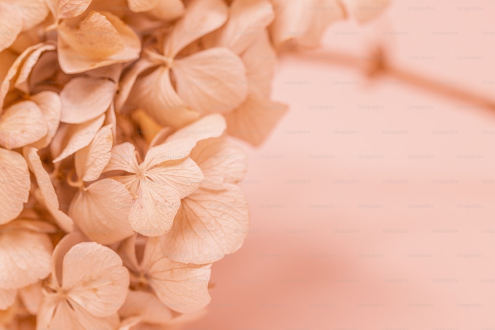 a bunch of flowers that are on a table