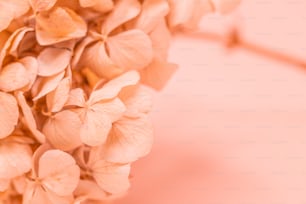 a bunch of flowers that are on a table