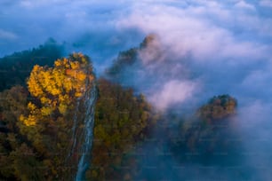 une vue aérienne d’une chute d’eau entourée d’arbres