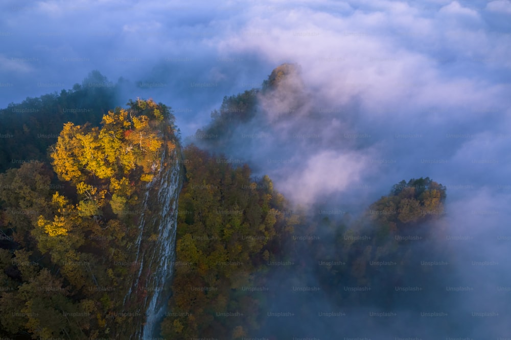 an aerial view of a waterfall surrounded by trees